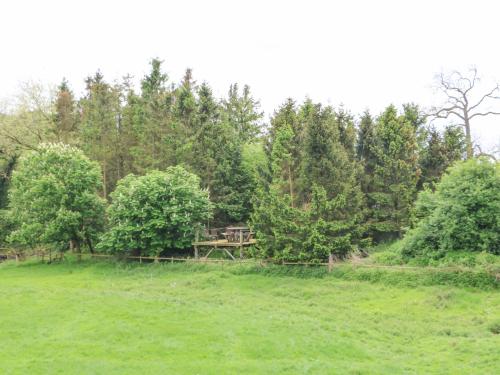 Viesnīcas āriene, Foxes Den in Staindrop
