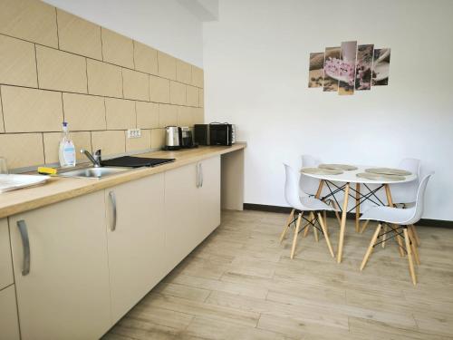 кухня, Adriana Touristik Hostel 3 Stele Arad in Арад