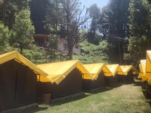 Fun over night camping manali