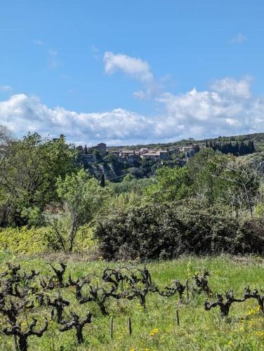 Petite Maison terrasse privée St Martin d'Ardèche - Location saisonnière - Saint-Martin-d'Ardèche