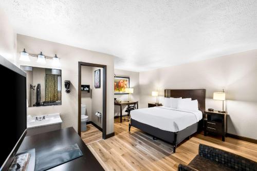 1 queen bed