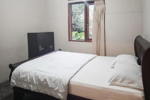 Deluxe Room image 3