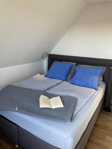 Casa Marcu Wohnung 1 OG in Landkirchen