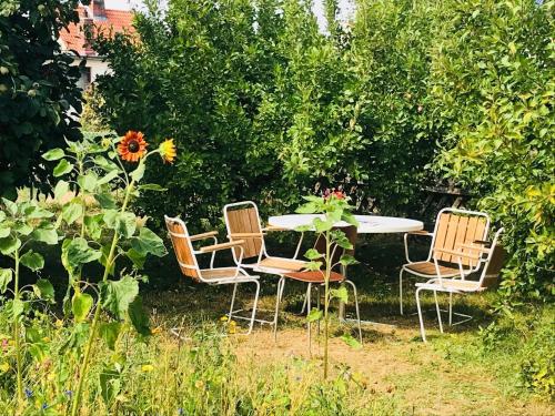 Casa Marcu Wohnung 1 OG in Landkirchen