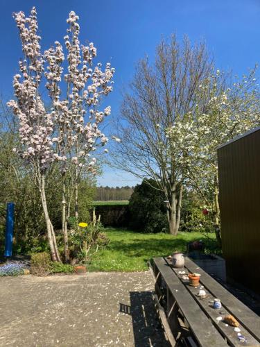 B&B Koornemoezen - image 11