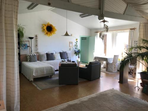 B&B Koornemoezen - image 13