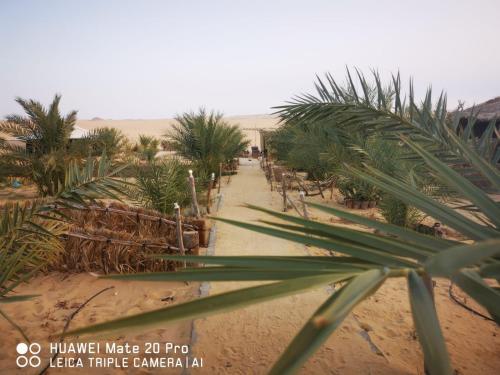 Karam Siwa Camp, Siwa