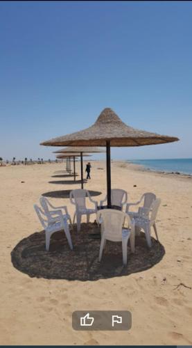 Beach and pools front challet in Ras Sudr families Only عائلات فقط (Beach and pools front challet in Ras Sudr families Only عائلات فقط) in Ras Sedr