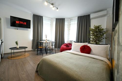 One-Bedroom Apartment image 10