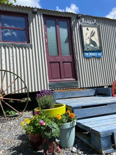 The Hares Hut at Carrigeen Glamping, Kilkenny