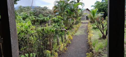 Yasur View Bungalow and Tree House in Isaka