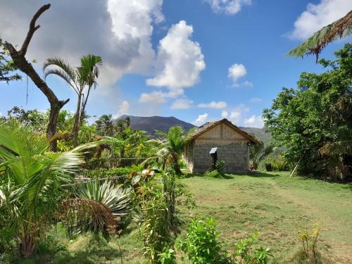 Yasur View Bungalow and Tree House