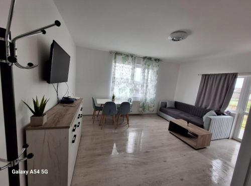 Silvio Apartament - Apartment - Bistriţa