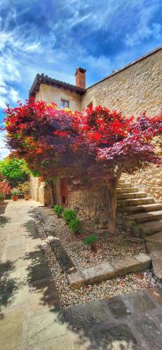 APARTAMENTOS PALACION DE SANTILLANA