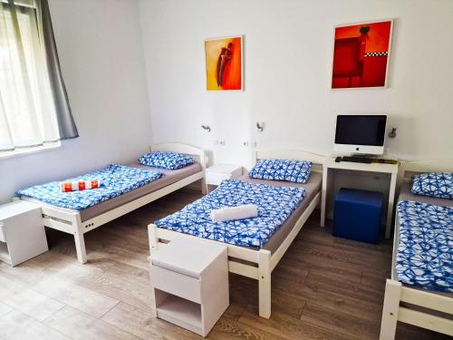 Triple Room with Shared Bathroom room in CroParadise Hostel