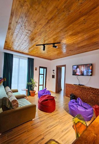 WoodStar/ტყის ვარსკვლავი in Ambrolauri