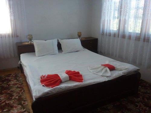 Guest House AHP - image 6
