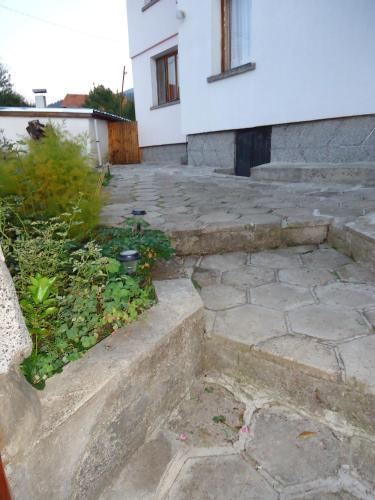 Guest House AHP - image 5