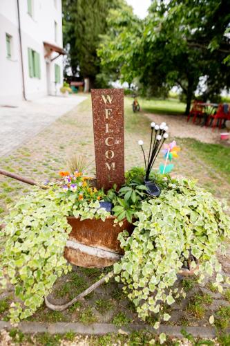 Tenuta EnGi, Werona (zdjęcie 3)