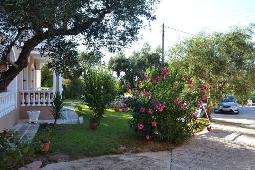 Pansion Mary - image 7