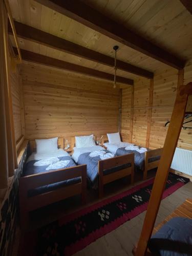 3 twin beds