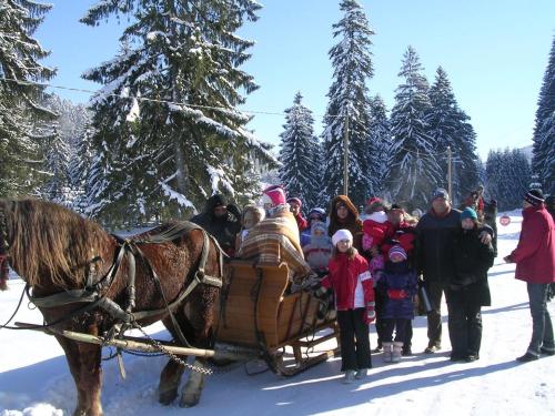 Pension Perla Bucovinei - image 3