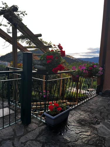 Hotel Meri 1956 Locanda e Cucina 3