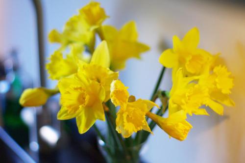 Clerkenwell Premium Deluxe - image 8