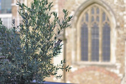 Clerkenwell Premium Deluxe - image 7