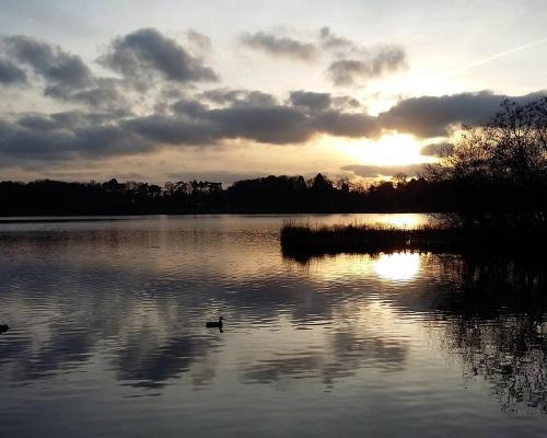 Elevate at Fleet Heights Apartment Seven in ฟรีท