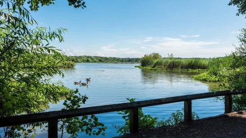 Elevate at Fleet Heights Apartment Seven in ฟรีท