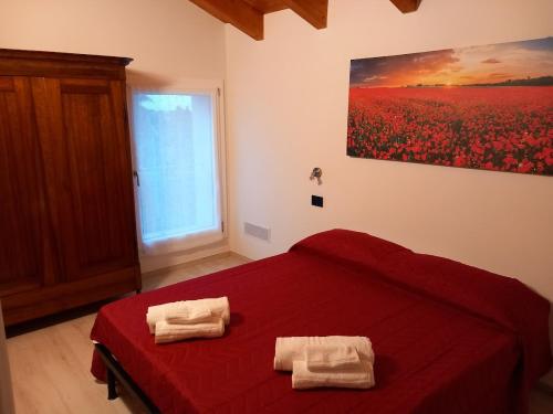 La collinetta B&B