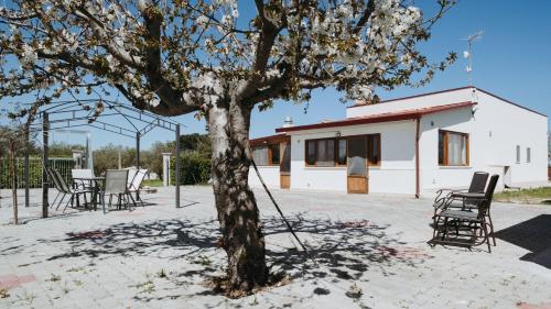 Belvedere House Country gîte à louer San Basilio