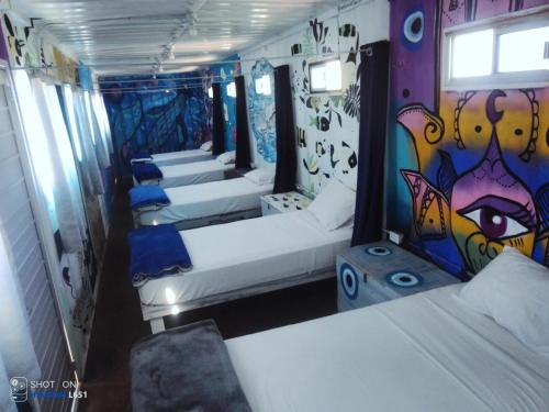 Peace Hostel MX in La Paz City Center