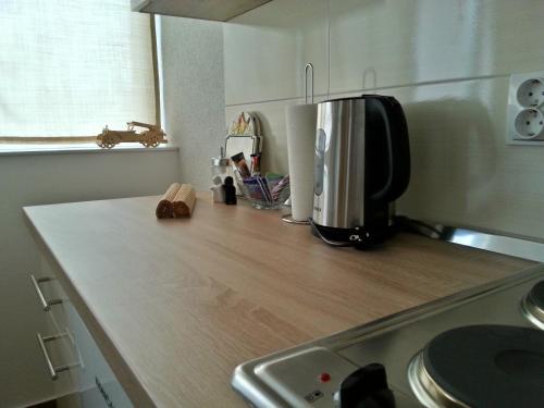 Studio Apartments Korosteljev - image 3