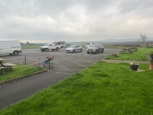 The Dog and Partridge - image 8