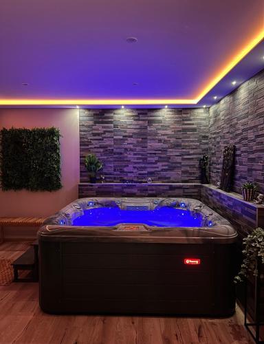 Zen&spa appartement avec jacuzzi et sauna privatif - Location saisonnière - Aspach-le-Bas