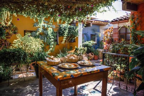 瓦哈卡 Hotel Las Golondrinas 2星级 酒店 大堂