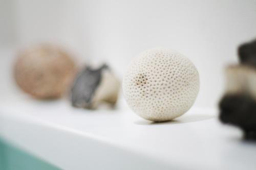 Super Nice Clerkenwell Home - image 14