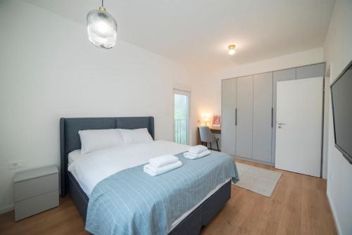 Elegant and spacious apartment in city centre