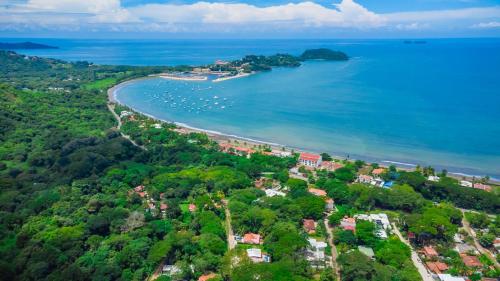 Gorgeous 4-BD Zen Retreat w Pool Apartment