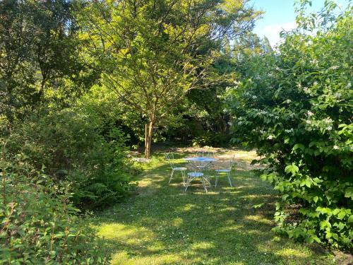 Chambre bananier: maison arborée face à la rivière