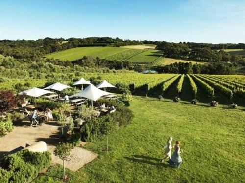 Dromana Grove SPA & POOL sleeps 15