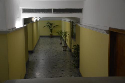 Andreina a San Pietro Apartment - image 7