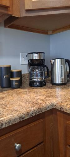 Modern Duplex Near Arenas, Hospitals, Universities, & Attractions in Tower Grove, USA