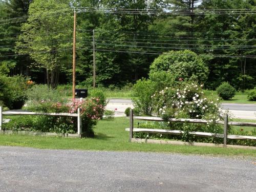 McGregor Inn Motel - 정원