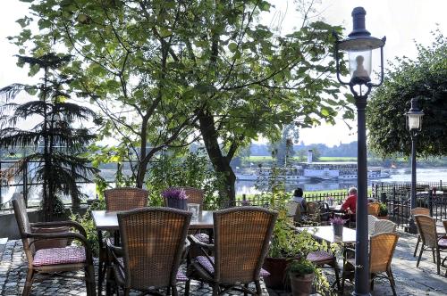 Elbterrasse Wachwitz - image 14
