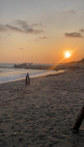 Ecusuites playas torre pacific ll