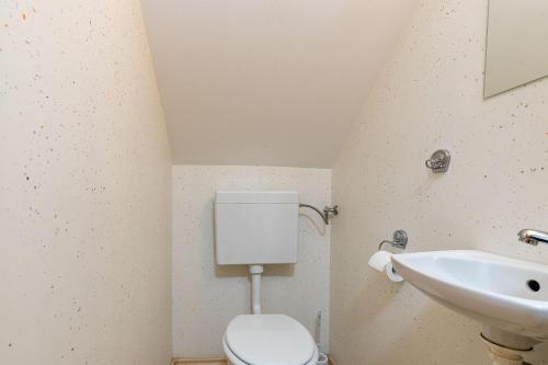 Kovačnica Sreče - image 2