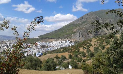 卡萨琳达酒店 卡萨琳达酒店